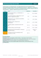 Vorschau - Arbeitsblätter - Teilbarkeit & Primzahlen – komplette Unterrichtsreihe: 7 Stunden mit Präsentationen, LZK & Lösungen | Mathematik Klasse 5/6 - Seite 3
