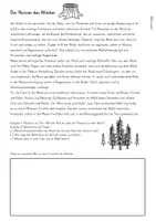 Vorschau - Unterrichtsreihen - Wald Arbeitsblätter, Unterrichtseinheit Sachunterricht - Seite 3