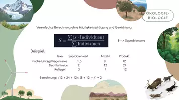 Vorschau - Stundenentwürfe - Fließgewässeruntersuchung und Saprobienindex - Seite 3