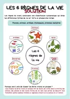 Aperçu - Préparation de séquence / Séquence complète - Les règnes des êtres vivants : vue d’ensemble - Page 2