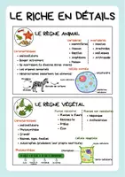 Aperçu - Préparation de séquence / Séquence complète - Les règnes des êtres vivants : vue d’ensemble - Page 3