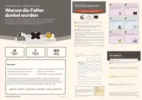 Vorschau - Arbeitsblätter - Mystery Birkenspanner – Evolution Klasse 9/10 - Deckblatt