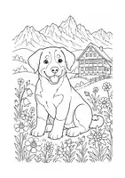 Vorschau - Arbeitsblätter - Appenzell Innerrhoden Schweiz Kanton Ausmalbilder - Seite 3