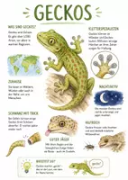 Vorschau - Arbeitsblätter - Lernplakat + AB mit Fragen zum Thema "Geckos" + Lösungsblatt + Mindmap + Infografik - Deckblatt