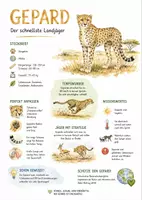 Vorschau - Arbeitsblätter - Lernplakat + AB mit Fragen zum Thema "Gepard" + Lösungsblatt + Infografik - Deckblatt