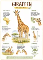 Vorschau - Arbeitsblätter - Lernplakat + AB mit Fragen zum Thema "Giraffen" + Lösungsblatt + Infografik - Deckblatt