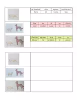 Aperçu - Le_Loup_et_l_Agneau_ dossier pédagogique - Page 3