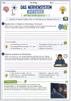 Vorschau - Stundenentwürfe - Wachsendes Materialpaket "Das Nervensystem", 7 sorgenfreie Stunden Biologie | Best of Eduki | 9.-10. Klasse - Seite 3