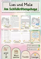 Vorschau - Stundenentwürfe - Am Schildkrötengehege Lies und Male Lesetraining differenziert handlungsorientiert Lesen Leseflüssigkeit - Deckblatt