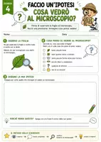 anteprima - Esercizi - 🌿🔬 LA FOGLIA: DAL PICCOLO AL PICCOLISSIMO - Pagina 3