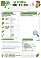 anteprima - Esercizi - 🌿🔬 LA FOGLIA: DAL PICCOLO AL PICCOLISSIMO - Pagina 2
