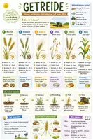 Vorschau - Poster - Spickzettel Biologie | Getreide - Deckblatt