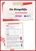 Vorschau - Arbeitsblätter - Blutgefäße - Deckblatt