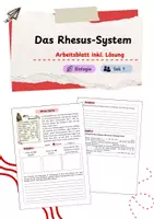 Vorschau - Arbeitsblätter - Das Rhesus-System - Deckblatt