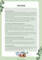 Vorschau - Arbeitsblätter - Stationen - Nährstoffe - Ernährung - Seite 1