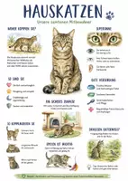 Vorschau - Arbeitsblätter - Lernplakat + AB mit Fragen zum Thema "Hauskatze" + Lösungsblatt + Infografik - Deckblatt