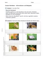 Vorschau - Arbeitsblätter - Materialsammlung: Heim-, Nutz- und Wildtiere - Seite 3