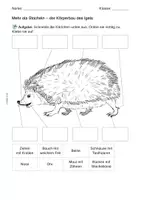 Vorschau - Arbeitsblätter - Materialsammlung: Der Igel - Seite 2