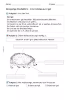 Vorschau - Arbeitsblätter - Materialsammlung: Der Igel - Seite 3