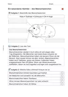 Vorschau - Arbeitsblätter - Arbeitsblatt: Das Meerschweinchen - Seite 2