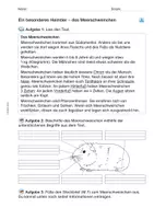 Vorschau - Arbeitsblätter - Arbeitsblatt: Das Meerschweinchen - Seite 3