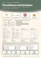 Vorschau - Stundenentwürfe - Parasitismus und Symbiose – Gruppenpuzzle Kl. 8–10 - Deckblatt