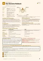 Vorschau - Stundenentwürfe - Parasitismus und Symbiose – Gruppenpuzzle Kl. 8–10 - Seite 2