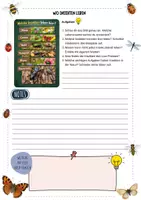 Vorschau - Arbeitsblätter - Insekten - So unterschiedlich leben Insekten – 3-fach differenziert ; Steckbriefe mit Lösungen | Sachunterricht Grundschule Klasse 3-4 - Seite 2