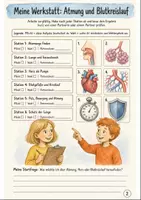 Vorschau - Arbeitsblätter - Atmung und Blutkreislauf entdecken – Stationenlernen Biologie Klasse 5-6 - Seite 1