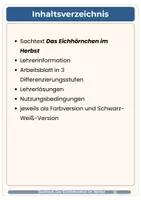 Vorschau - Arbeitsblätter - Sachtext Eichhörnchen im Herbst 3fach differenziert Deutsch HSU Klasse 3-5 - Seite 2