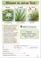Vorschau - Unterrichtsreihen - Kostenlos Biologie Klasse 5-6 - Seite 2