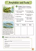 Vorschau - Unterrichtsreihen - Kostenlos Biologie Klasse 5-6 - Seite 3