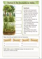 Vorschau - Arbeitsblätter - Lebensraum Wald: Stationenlernen Biologie Klasse 5-6 - Seite 2