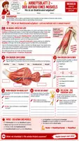Vorschau - Unterrichtsreihen - 💪🦴 Muskeln – Komplettpaket 🔬↔️ | Muskelaufbau, Bewegung & Gegenspielerprinzip | 3 Arbeitsblätter ✏️ Lösungen ✅ Einstieg 💡 Ausstieg 🏆 & 90-Min.-Unterrichtsablauf 👩🏫 | Klasse 7–8 🎓 - Deckblatt