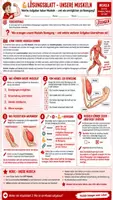 Vorschau - Unterrichtsreihen - 💪🦴 Muskeln – Komplettpaket 🔬↔️ | Muskelaufbau, Bewegung & Gegenspielerprinzip | 3 Arbeitsblätter ✏️ Lösungen ✅ Einstieg 💡 Ausstieg 🏆 & 90-Min.-Unterrichtsablauf 👩🏫 | Klasse 7–8 🎓 - Seite 3