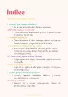 Vista previa - Fichas informativas / Documentos de lectura - opoplanificador - página 3