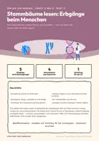 Vorschau - Stundenentwürfe - Vom Gen zum Merkmal · Paket 3: Humangenetik und Verantwortung - Seite 2