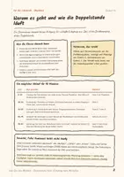 Vorschau - Stundenentwürfe - Vom Gen zum Merkmal · Paket 3: Humangenetik und Verantwortung - Seite 3
