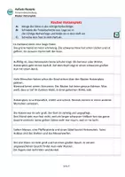 Vorschau - Unterrichtsreihen - Aufsatz-Rezepte:Personenbeschreibung - Räuber Hotzenplotz - - Seite 3