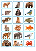 Vorschau - Spiele - Animal Card Game – Tiervokabeln Englisch | Bildkarten & Memory | Klasse 1–5 | passend zu Lighthouse 1 Unit „Nice to meet you“ - Seite 2