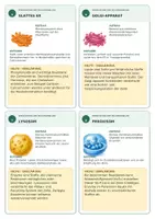Vorschau - Merkblätter - Speed Dating: Funktionen und Aufbau von Zellorganellen - Deckblatt