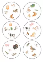 Vorschau - Spiele - Wortschatzspiel: farm animals (Englisch)/ Bauernhoftiere (DaZ/DaF)- Was ist gleich? - Seite 2