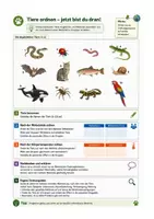 Vorschau - Arbeitsblätter - Systematik - Tiere nach Kriterien ordnen - Seite 1