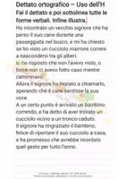 anteprima - Esercizi - QUADERNO DEI DETTATI CLASSI QUARTA E QUINTA - Pagina 2