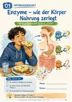 Vorschau - Stundenentwürfe - Enzyme & Verdauung: Amylase, Pepsin, Lipase – Selbstlernheft mit 3 Niveaus + Lösungen - Deckblatt