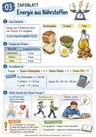 Vorschau - Stundenentwürfe - Kalorien berechnen: Energie aus Nährstoffen (kcal/kJ) – Selbstlernheft mit 3 Niveaus + Lösungen - Seite 2