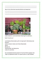 Vorschau - Arbeitsblätter - Alles rund um Kräuter und Kresse - inkl. Lösung - Seite 2