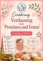 Vorschau - Arbeitsblätter - Ernährung: Verdauung von Proteinen & Fetten – Arbeitsblatt mit Lösung | Klasse 7/8 - Deckblatt