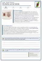Vorschau - Arbeitsblätter - Ökologie: Parasitismus und Wirtswechsel (Biologie Oberstufe) - Seite 3