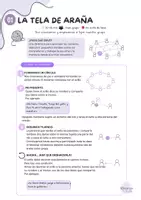 Vista previa - Hojas de trabajo - LOS DOS PRIMEROS DÍAS. - página 3
